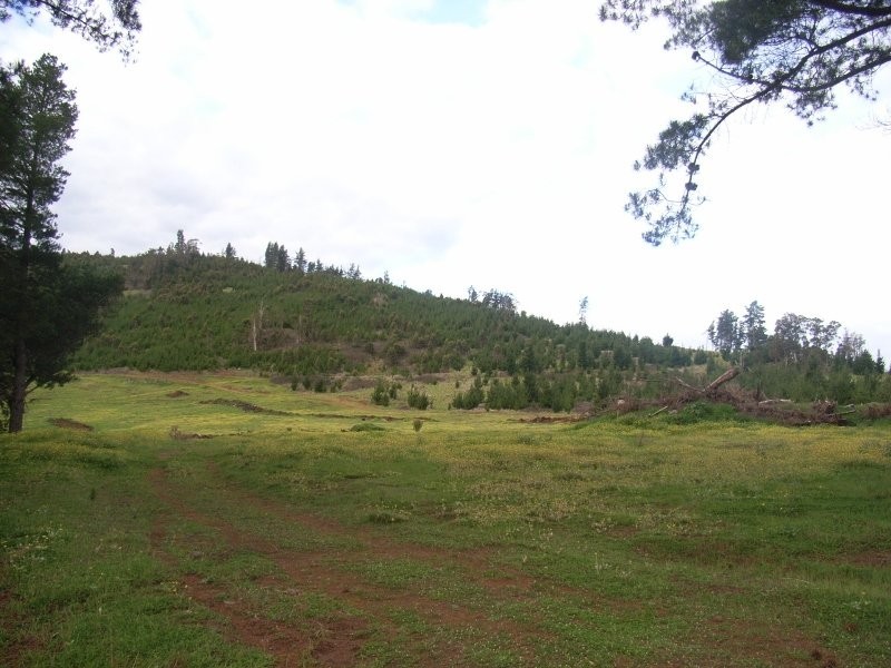 1065 Bridge Road, Balingup WA 6253