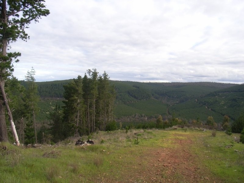 1065 Bridge Road, Balingup WA 6253