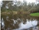1065 Bridge Road, Balingup WA 6253