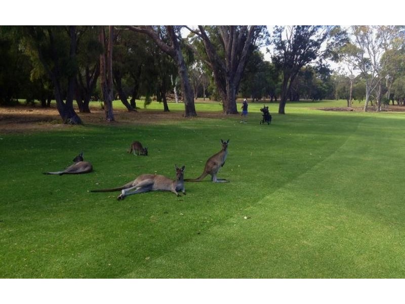 182 Terry Drive, Margaret River WA 6285