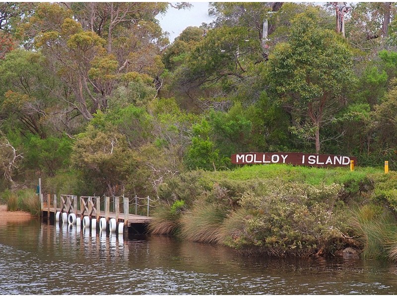 82 Dalton Way, Molloy Island WA 6290