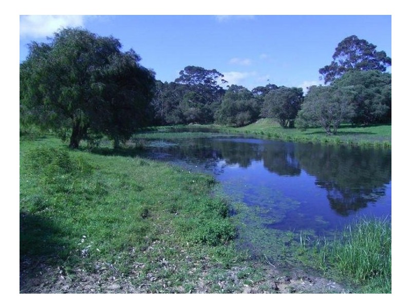Lot 5 Caves Road, Karridale WA 6288
