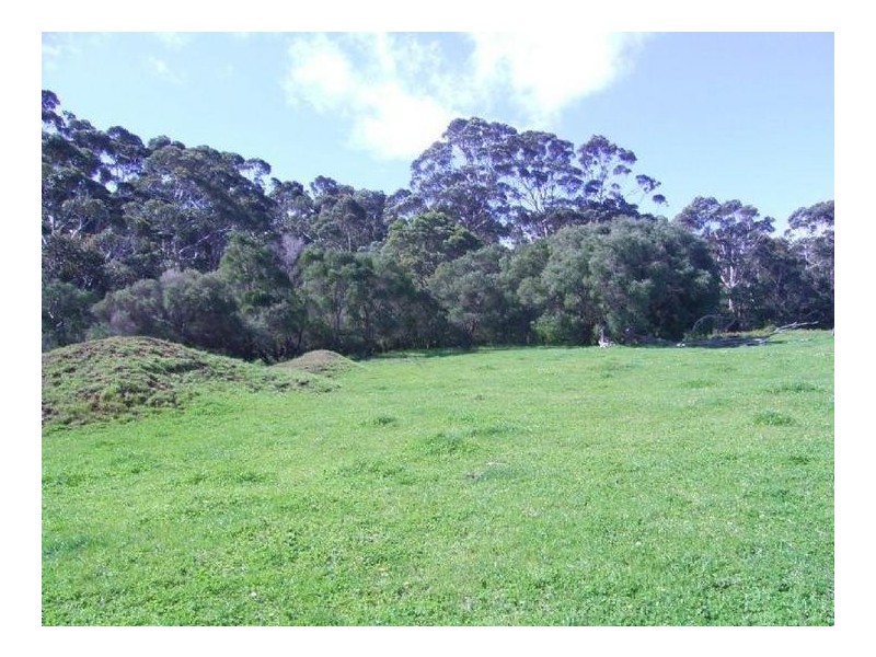 Lot 5 Caves Road, Karridale WA 6288