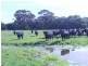 Lot 5 Caves Road, Karridale WA 6288