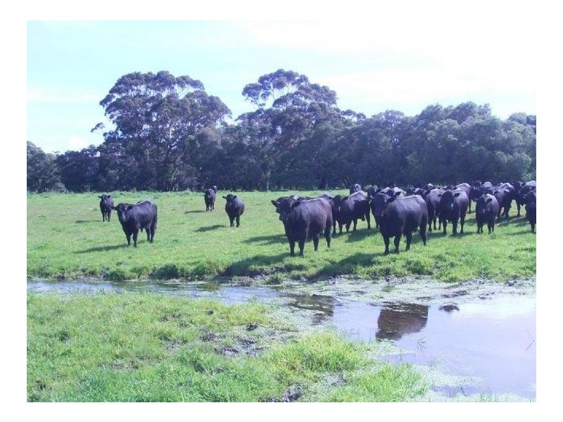 Lot 5 Caves Road, Karridale WA 6288