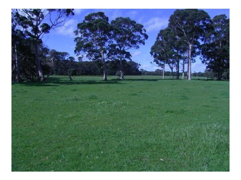 Lot 5 Caves Road, Karridale WA 6288