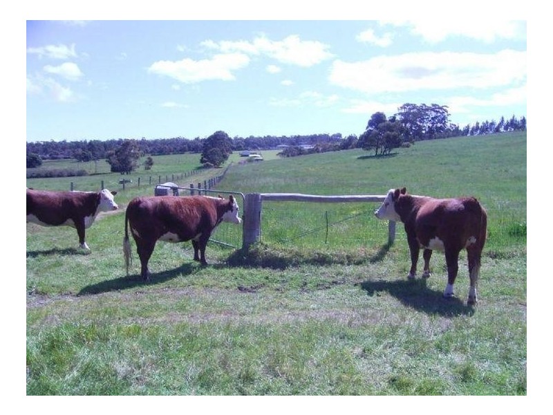 Lot 50 Bussell Highway, Forest Grove WA 6286