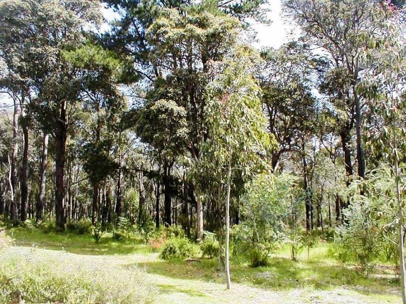 121/96 Bussell Highway, Margaret River WA 6285