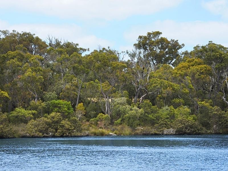 98 Sabina Drive, Molloy Island WA 6290