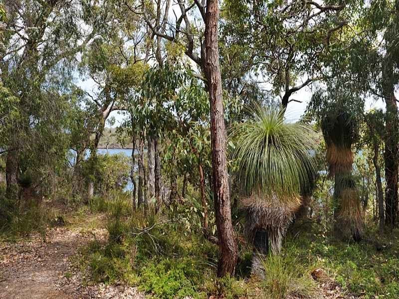 98 Sabina Drive, Molloy Island WA 6290