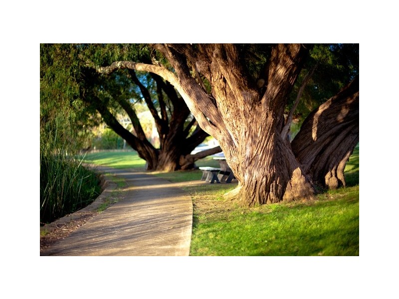 22 Sandalwood Drive, Margaret River WA 6285