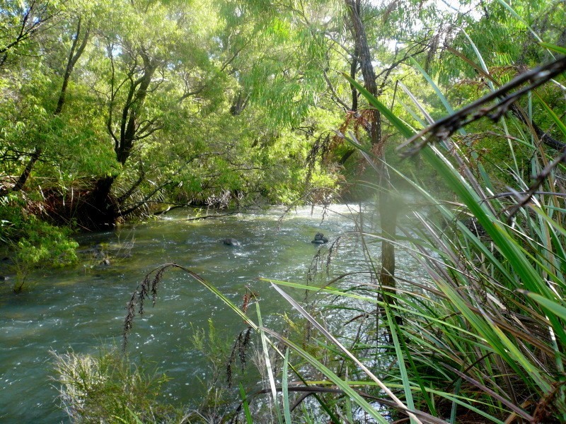 103 Shady Glen, Burnside WA 6285