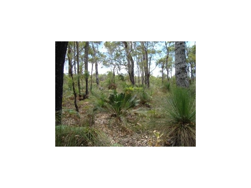 36 Sabina Drive, Molloy Island WA 6290