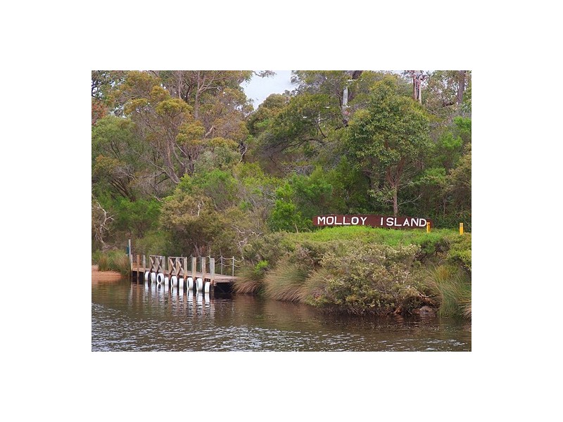 36 Sabina Drive, Molloy Island WA 6290