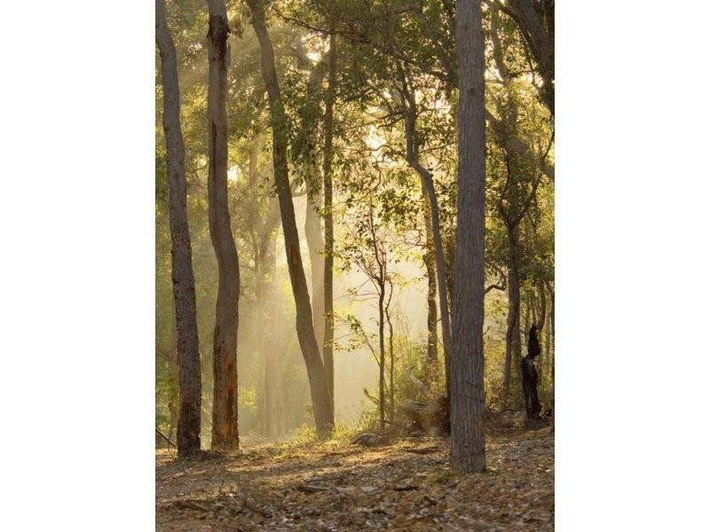 21 Georgiana Cross, Cowaramup WA 6284