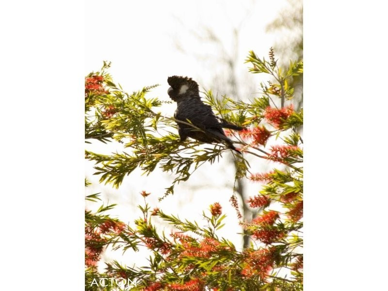 21 Georgiana Cross, Cowaramup WA 6284