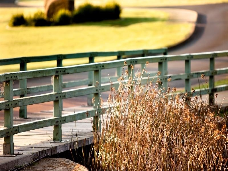 13 Morelia Parade, Margaret River WA 6285