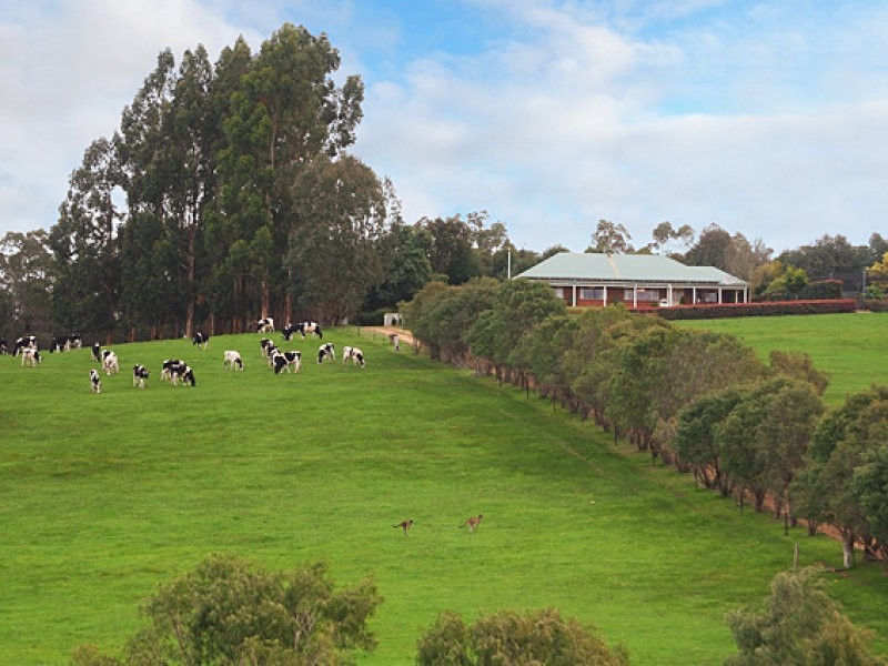 311 Bessell Road, Margaret River WA 6285