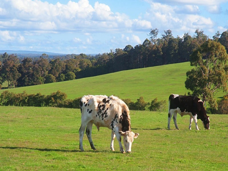 311 Bessell Road, Margaret River WA 6285