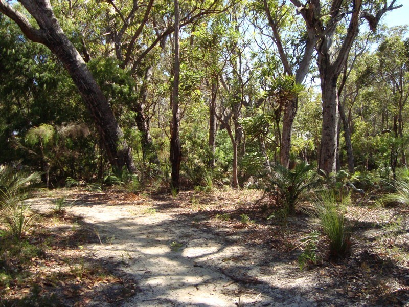 6 Dalton Way, Molloy Island WA 6290