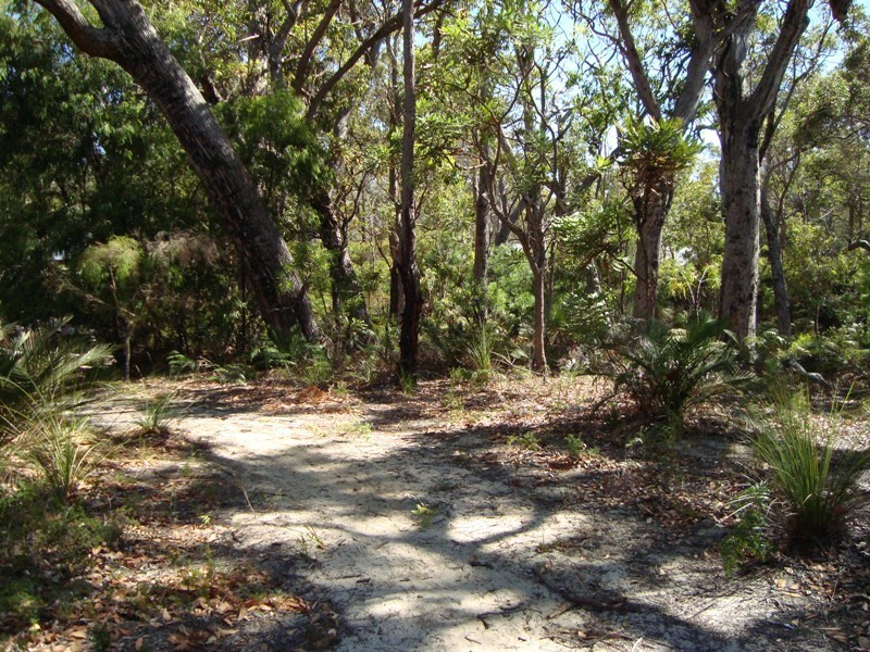 6 Dalton Way, Molloy Island WA 6290