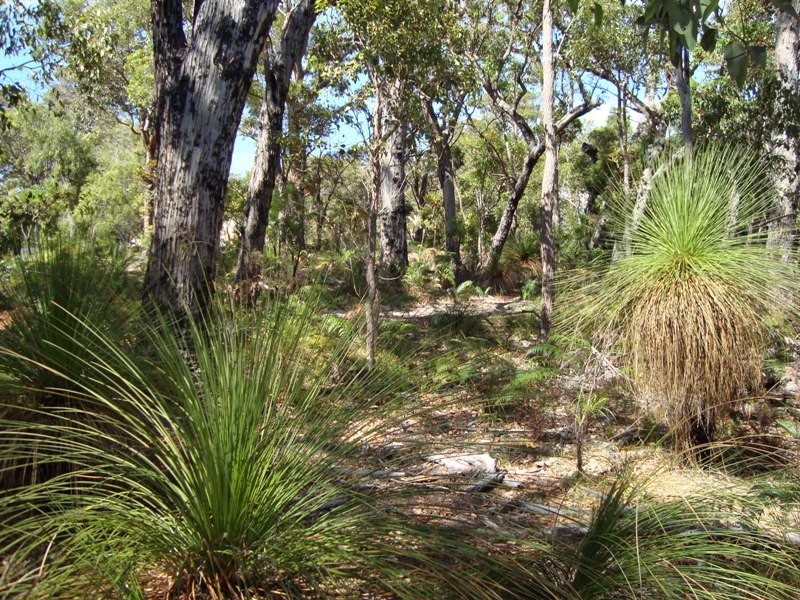 6 Dalton Way, Molloy Island WA 6290