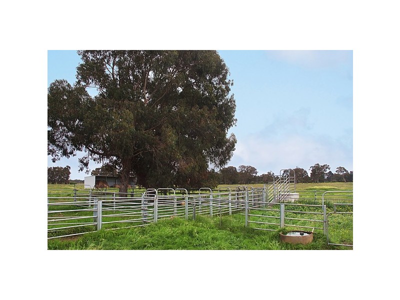 839 Kaloorup Road, Busselton WA 6280