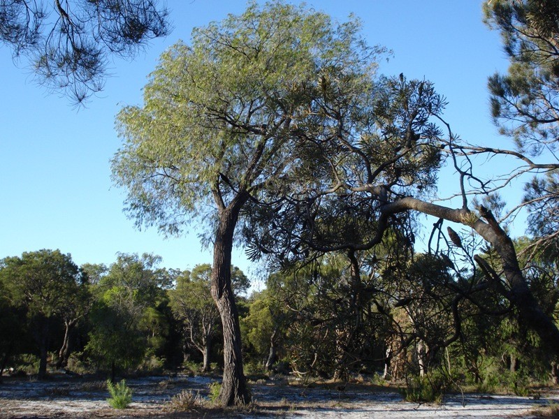 Lot 17,  Irvine Road, Metricup WA 6280