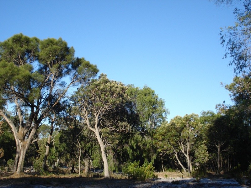 Lot 17,  Irvine Road, Metricup WA 6280