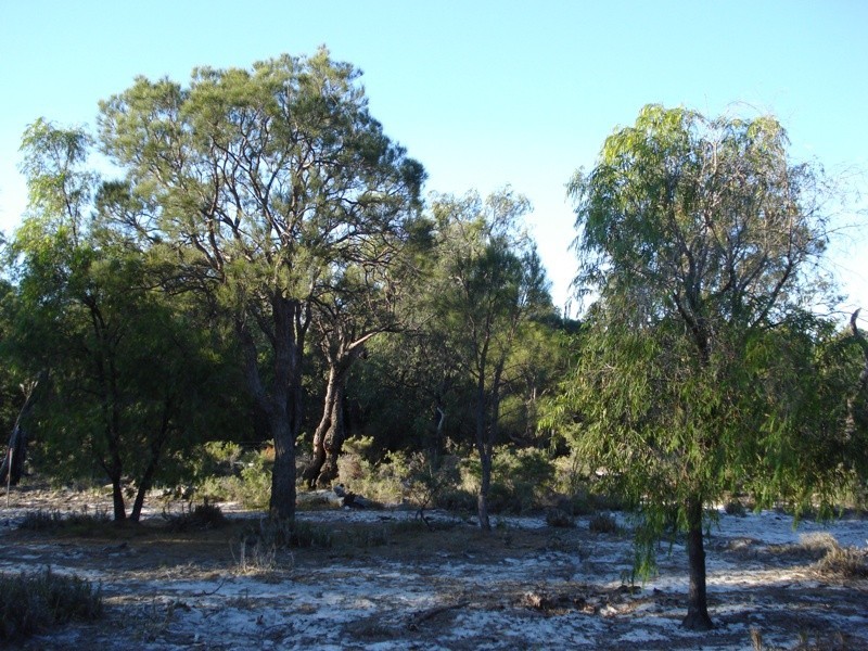 Lot 17,  Irvine Road, Metricup WA 6280