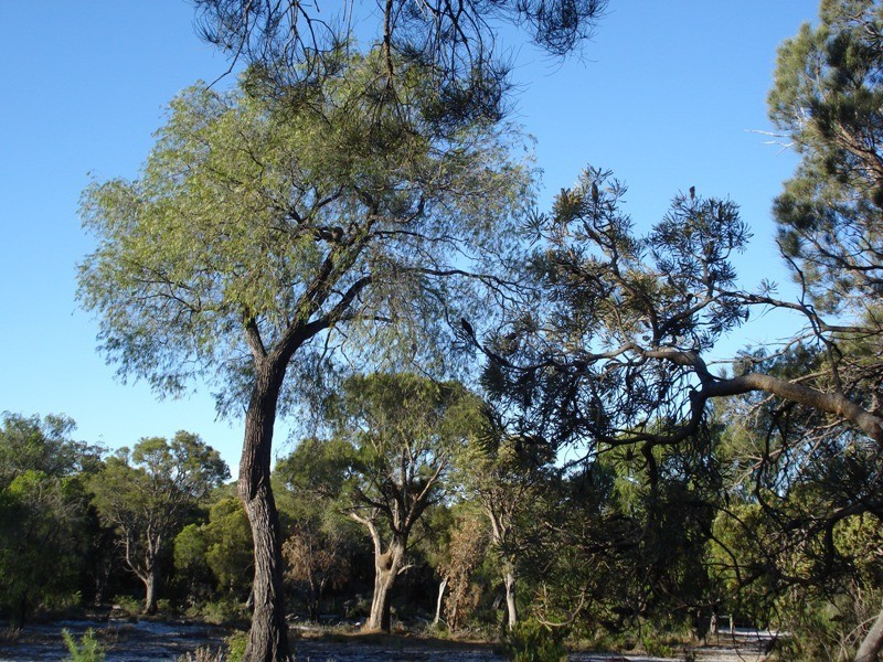 Lot 17,  Irvine Road, Metricup WA 6280