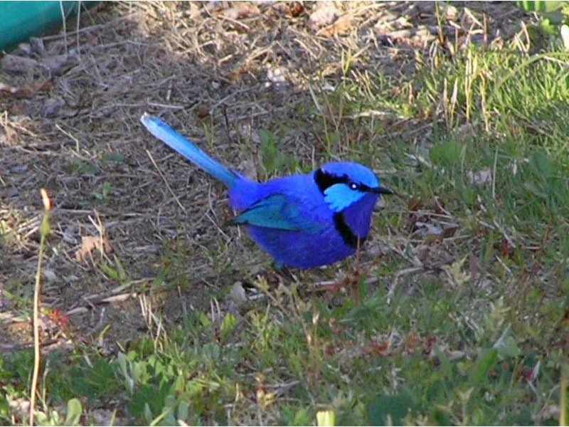 Lot 17,  Irvine Road, Metricup WA 6280