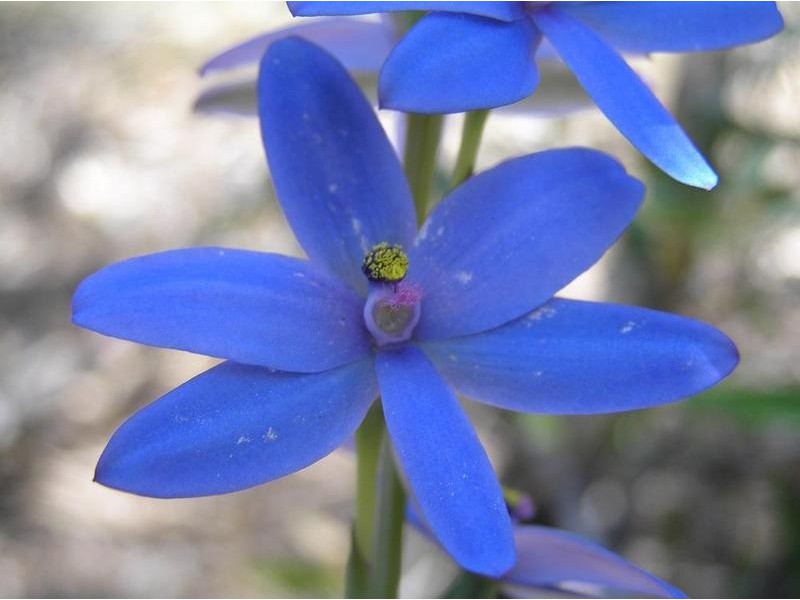 Lot 17,  Irvine Road, Metricup WA 6280