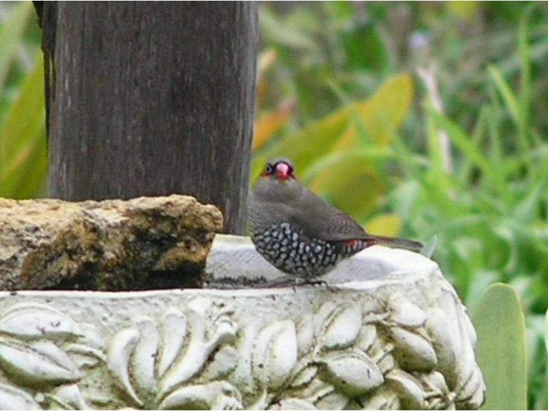 Lot 17,  Irvine Road, Metricup WA 6280