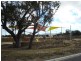 Lot 1047, 41 Wentworth Loop, Dunsborough WA 6281