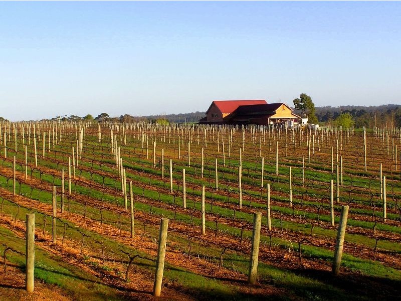 Lot 3 Vasse Highway, Pemberton WA 6260