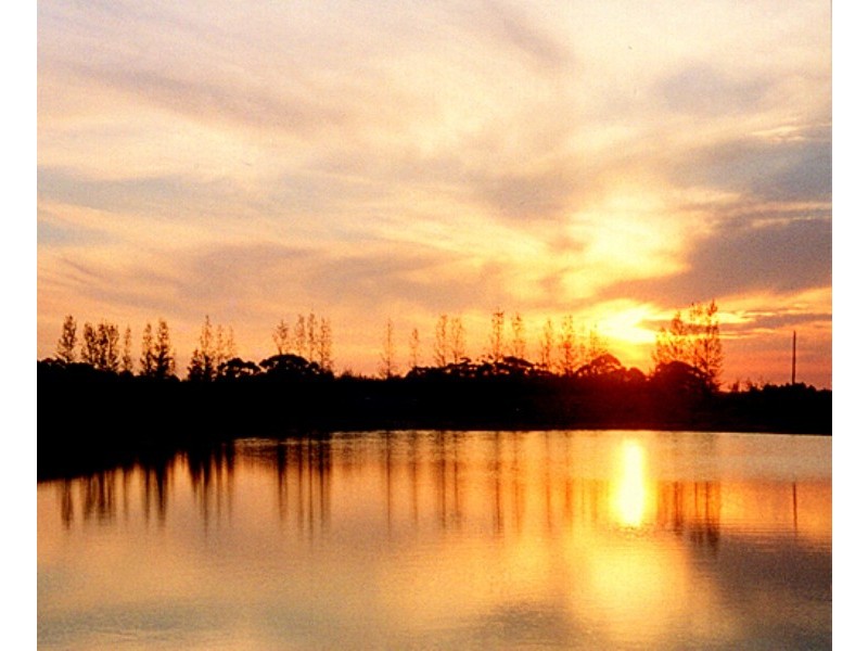 Lot 3 Vasse Highway, Pemberton WA 6260