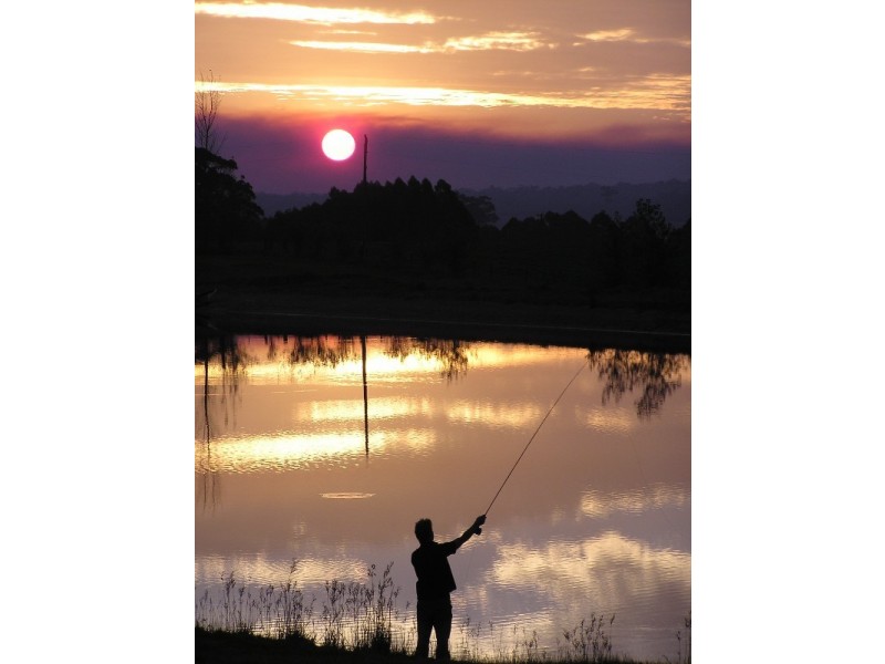 Lot 3 Vasse Highway, Pemberton WA 6260