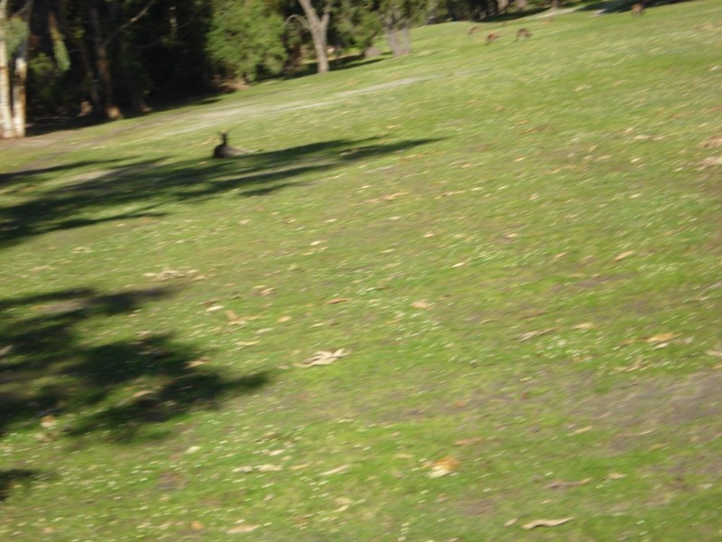 Lot 28, 11 Hennessey Loop, Dunsborough WA 6281