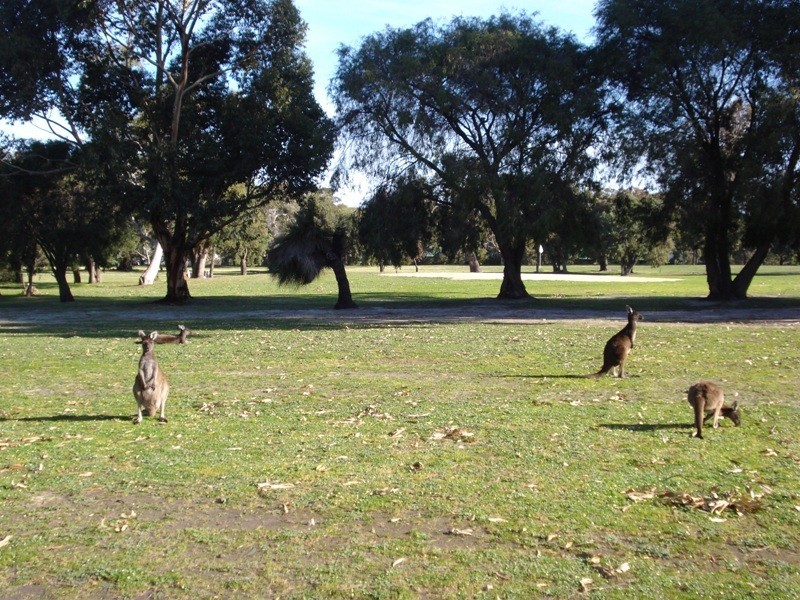 Lot 28, 11 Hennessey Loop, Dunsborough WA 6281