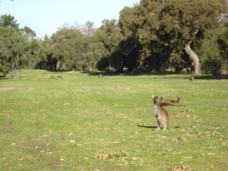 Lot 28, 11 Hennessey Loop, Dunsborough WA 6281