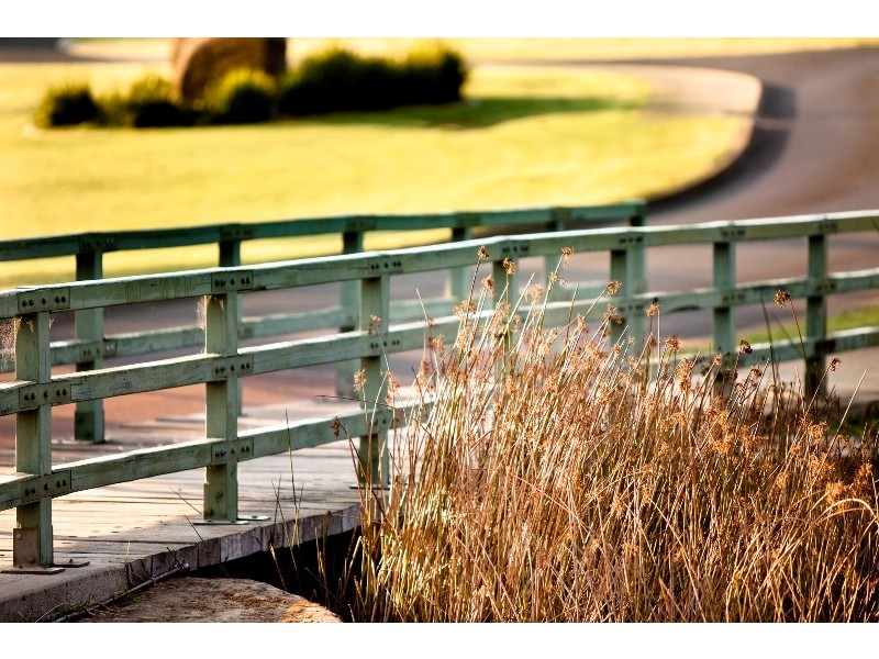 Lot 448, 7 Hibbertia Terrace, Margaret River WA 6285