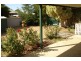 66 College Avenue, West Busselton WA 6280