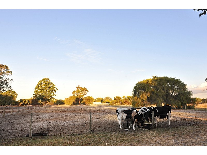 67 Redgum Way, Vasse WA 6280