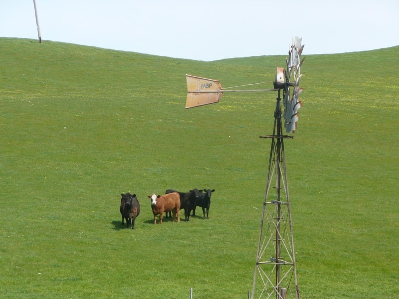 Lot 22,  Caves Road, Hamelin Bay WA 6288