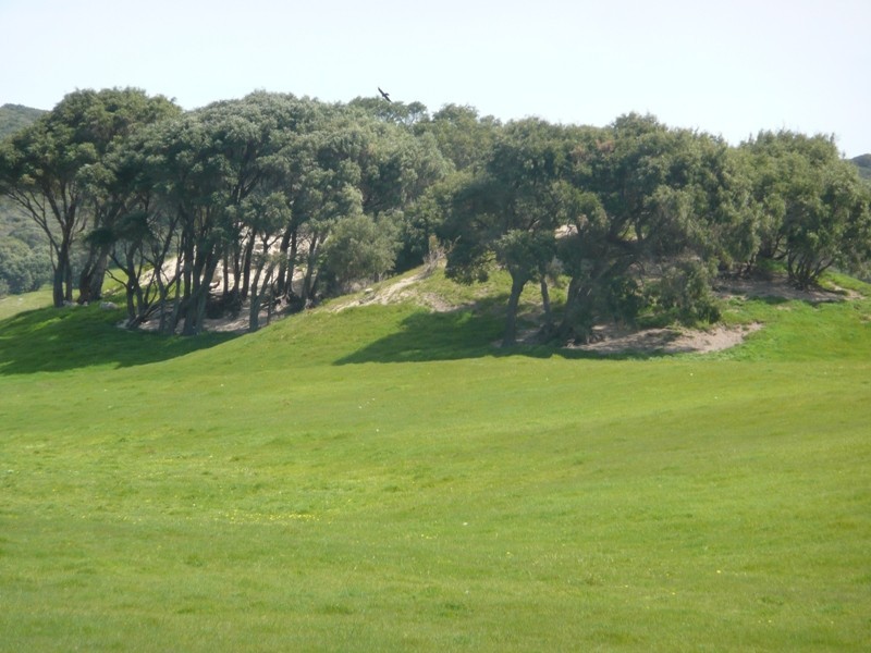 Lot 22,  Caves Road, Hamelin Bay WA 6288