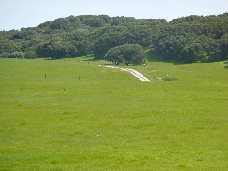 Lot 22,  Caves Road, Hamelin Bay WA 6288