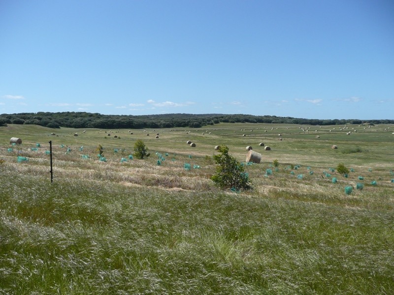 Lot 22,  Caves Road, Hamelin Bay WA 6288