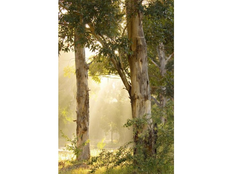 Lot 724, 34 Burke Circle, Cowaramup WA 6284