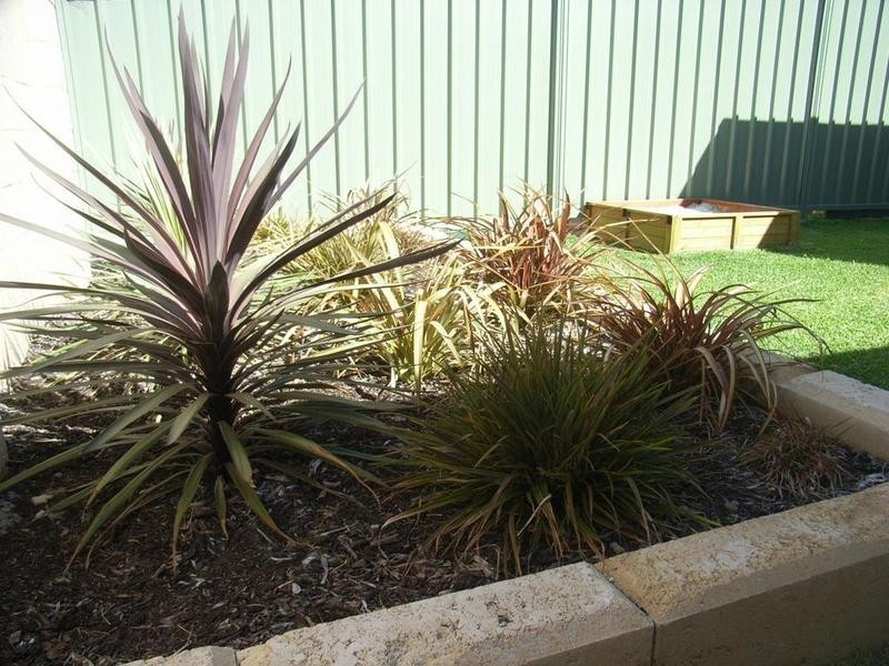 15 Orlando Boulevard, Vasse WA 6280